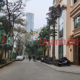 Chính chủ bán biệt thự siêu vip - khu quan chức - lô góc hai mặt thoáng - view công viên 272m2 _0