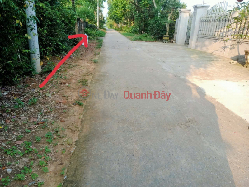 PRIME LAND – GOOD PRICE – OWNER NEEDS TO SELL A PLOT OF LAND IN XUAN HOI VILLAGE, XUAN HUNG COMMUNE, THO XUAN DISTRICT, THANH HOA PROVINCE Sales Listings