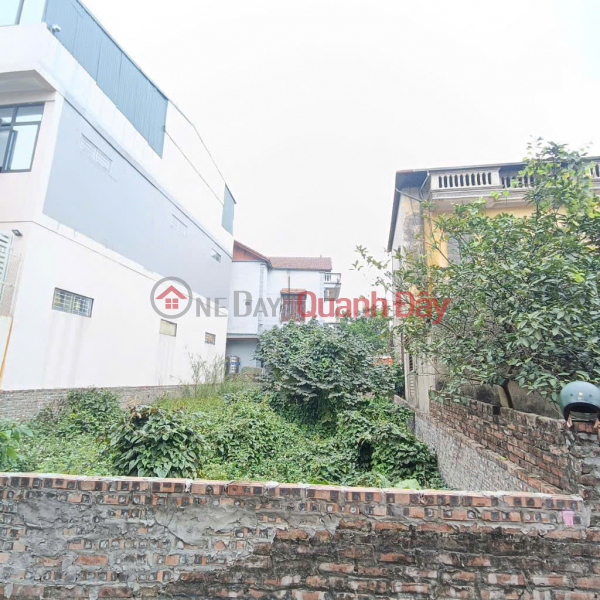 Selling 102m2 of land on PHU Vien street, Bo De, LONG BIEN, price 13 BILLION, car, business | Vietnam Sales, đ 13 Billion