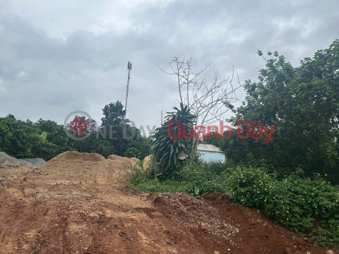 BEAUTIFUL LAND - GOOD PRICE OWNER SELLS BEAUTIFUL LAND IN PRIME LOCATION IN DI LINH - LAM DONG _0