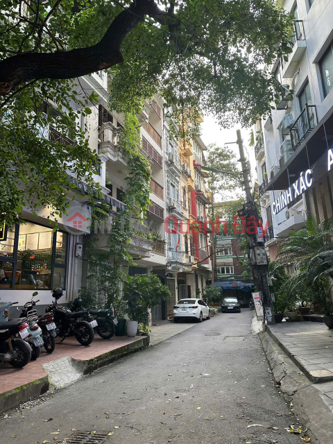 Nhà ở vị trí cực vip,ngay mặt phố phân lô,vỉa hè kinh doanh,ô tô tránh,sổ vuông đẹp, 17 tyr5,Trần Quang Diệu _0