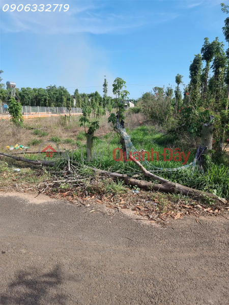 Bán đất 2 mặt tiền xã Hòa Hội, Xuyên Mộc, Bà Rịa Vũng Tàu, DT 290m2, giá đầu tư Việt Nam, Bán | đ 700 triệu