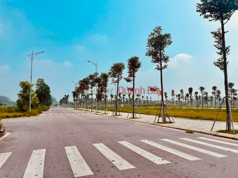 Giá chỉ 2 tỷ xxx khách hàng đã được sở hữu lô áp góc Có Diện Tích 96m2 ( full thổ cư , 6m mặt tiền) Tại KĐT Niêm yết bán