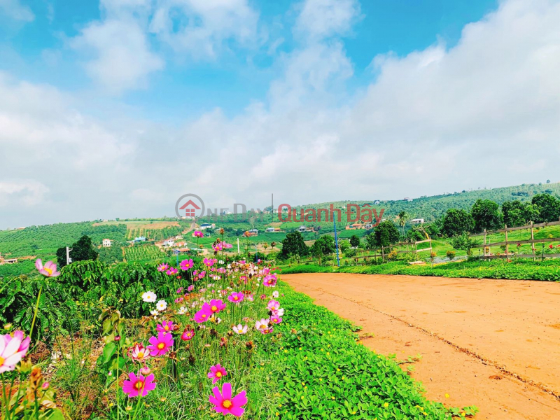 Forest garden land has residential area from only 1.1 million/m2 Vietnam Sales, đ 1.5 Billion