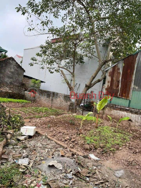 OWNER NEEDS TO SELL A BEAUTIFUL LOT OF LAND - SUPER PROFITABLE INVESTMENT At Nguyen Van Linh Street, Phuc Dong Ward, Long Bien, Hanoi _0