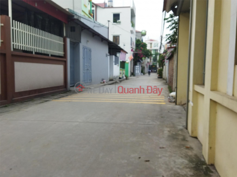 Main axis 48m2 at Thuy Huong - Phu Cuong - Soc Son - Hanoi. Avoid car roads, book cover Sales Listings