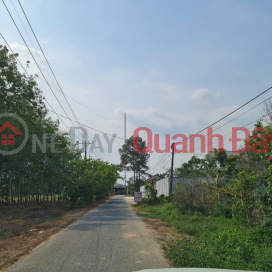 Need to liquidate this month the land lot HXH Phu Thuan street, Phu My Hung commune (now An Nhon Tay commune),Cu Chi district, Ho Chi Minh city _0