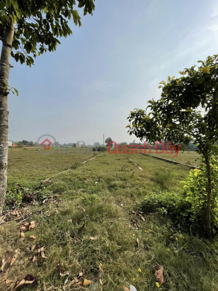 Property Search Vietnam | OneDay | Nhà ở, Niêm yết bán Chính Chủ Cần Bán Gấp Lô Đất, Đường Tỉnh Lộ 9, Mỹ Hạnh Bắc, Long An