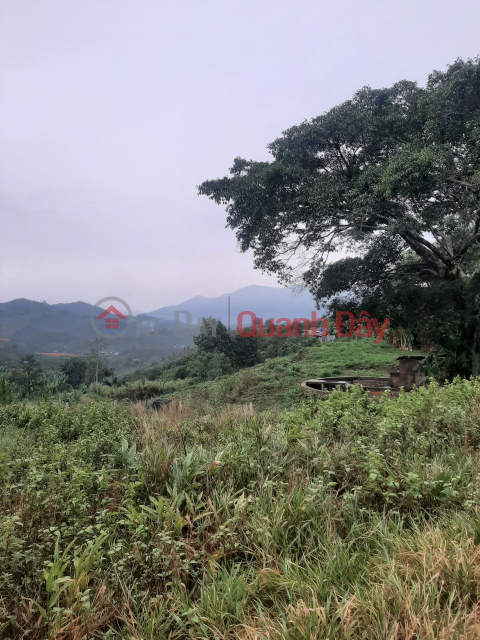 THE OWNERS NEED MONEY IMMEDIATELY SELLING LAND AT LOC THANH - BAO LAM - LAM DONG - 10,000 m2 - 5 billion 6 - 0398202581 _0