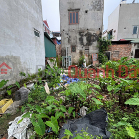 Bán 45m2 Đất Bạch Đa Kim Hoa – Mê Linh, Đường Oto Vào Đất, Giáp Đường Vành Đai 4 _0