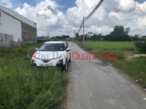 1 Ha Square Land SHR HXH – Duc Hoa Thuong Long An S _0