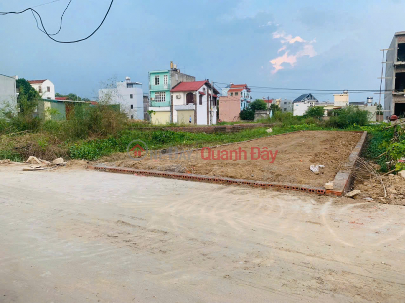 Beautiful land in Quang Minh, Me Linh. Near Tue Tinh Medical and Pharmaceutical College and industrial park. Vietnam Sales, đ 4.75 Billion