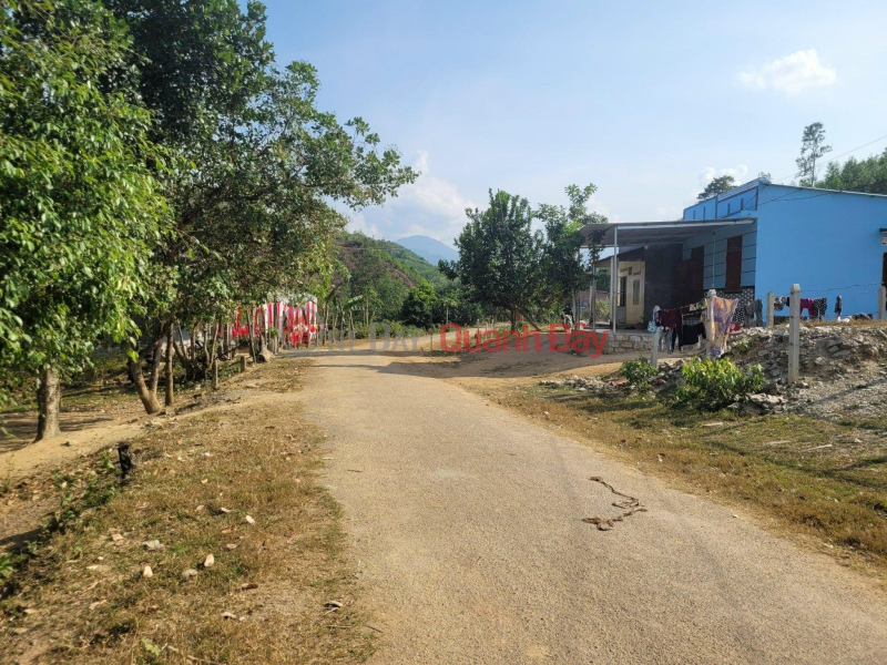 Beautiful Land - Good Price - Owner Needs to Sell Land Lot in Beautiful Location in Cau Ba Commune, Khanh Vinh Sales Listings