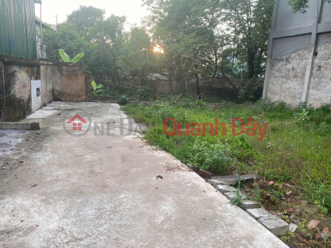 Đất đẹp- giá tốt Chính Chủ cần Bán nhanh lô đất đẹp tại huyện Thường Tín, TP Hà Nội _0