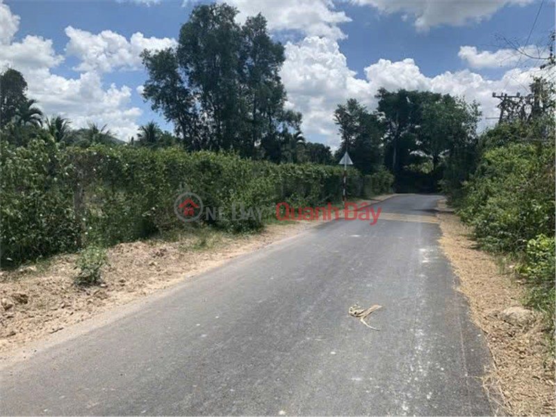BEAUTIFUL LAND - GOOD PRICE - NEED TO SELL LAND LOT IN Binh Loc commune, Dien Khanh district, Khanh Hoa province | Vietnam | Sales, đ 2.8 Billion