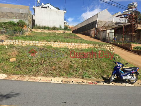 Discounted price for urgent sale Villa land with beautiful view on Nam Ho street, Da Lat 300m2 _0