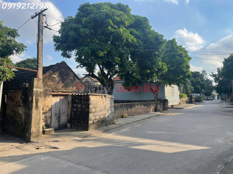 Property Search Vietnam | OneDay | Residential | Rental Listings, Warehouse for rent with an area of over 200m2 in Khanh Thien Commune, Yen Khanh