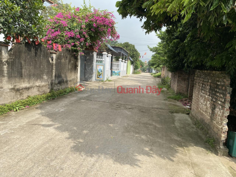 Quick sale Spindle 112m at Phu Cuong-Minh Phu-Soc Son, Road 7m Sales Listings