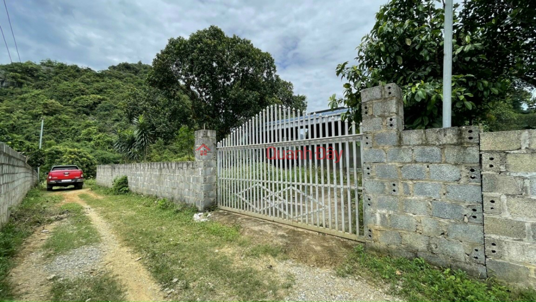 Property Search Vietnam | OneDay | Residential Sales Listings Corner lot 910m2, with 400tc Lac Thuy HB 800m from HCM highway On land with available house and orchard Price
