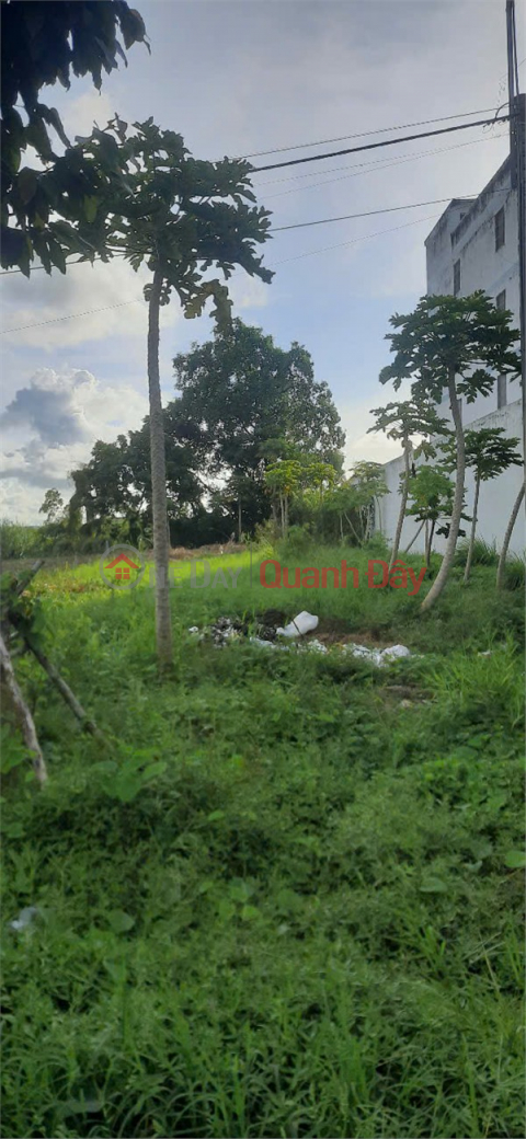 BEAUTIFUL LOCATION - FRONTAGE - Owner Needs to Sell Land Lot on National Highway 63, Binh An Commune, Chau Thanh, Kien Giang _0