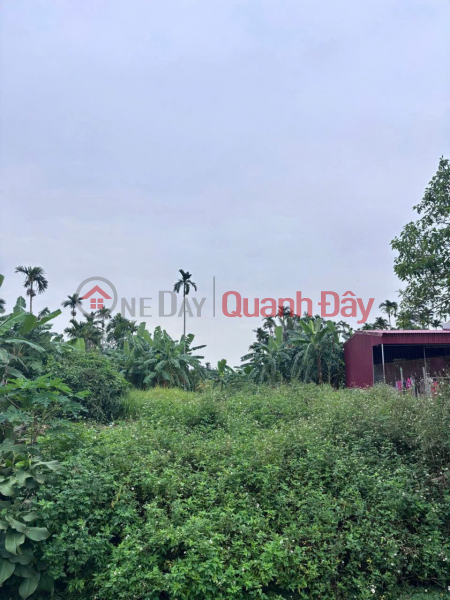 MẶT ĐƯỜNG TRỤC CHÍNH TRUNG NGHĨA – GIÁ ĐẦU TƯ, PHÙ HỢP KINH DOANH ZALO 0567 222 555 Việt Nam Bán | đ 2,82 tỷ