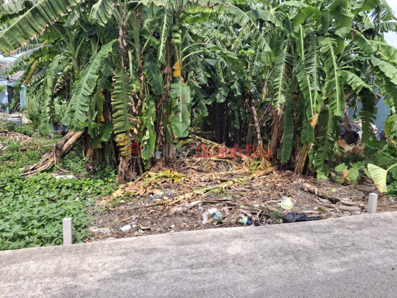 Property Search Vietnam | OneDay | Nhà ở, Niêm yết bán | Rẻ! Đất HXT 137m2, Nở hậu – Xuân Thới Thượng 2 HM