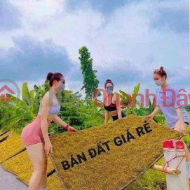 MẢNH ĐẤT VÀNG GIỮA LÀNG ĐÀO XUYÊN 57m2 CHỈ 3,9 TỶ 
Giá đầu tư cực ngọt – Xuống tiền là có lãi ngay! _0