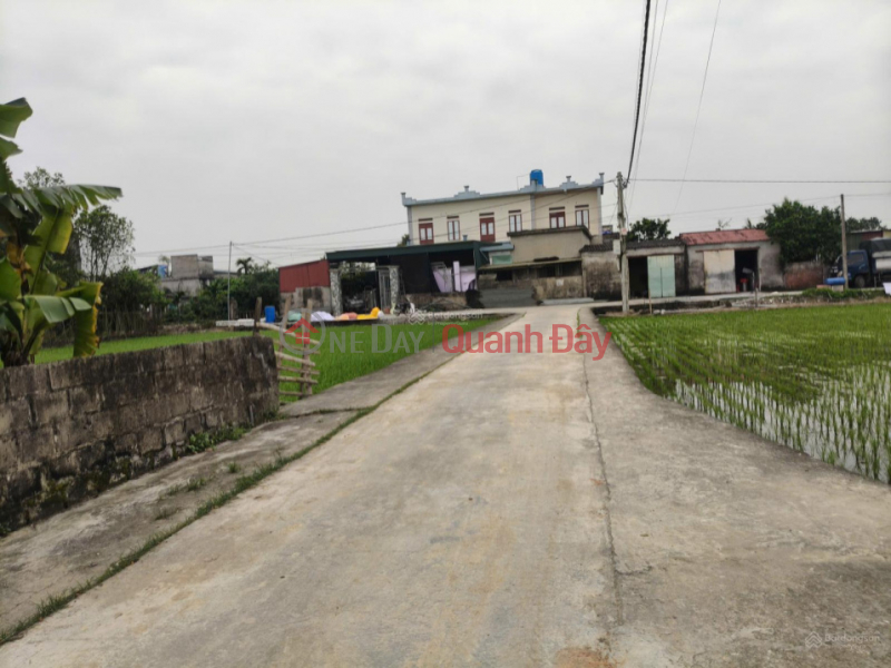  Làm ơn chọn | Nhà ở Niêm yết bán đ 730 triệu