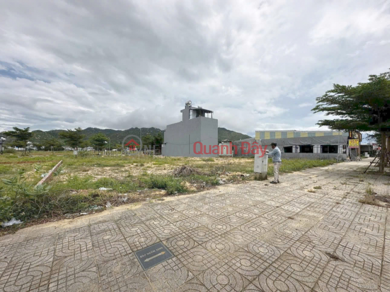 Property Search Vietnam | OneDay | Residential, Sales Listings | 2 ADJACENT LOTS FOR SALE - PRIME LOCATION - MAIN AXIS OF HOANG SA - CAT TIEN STREET