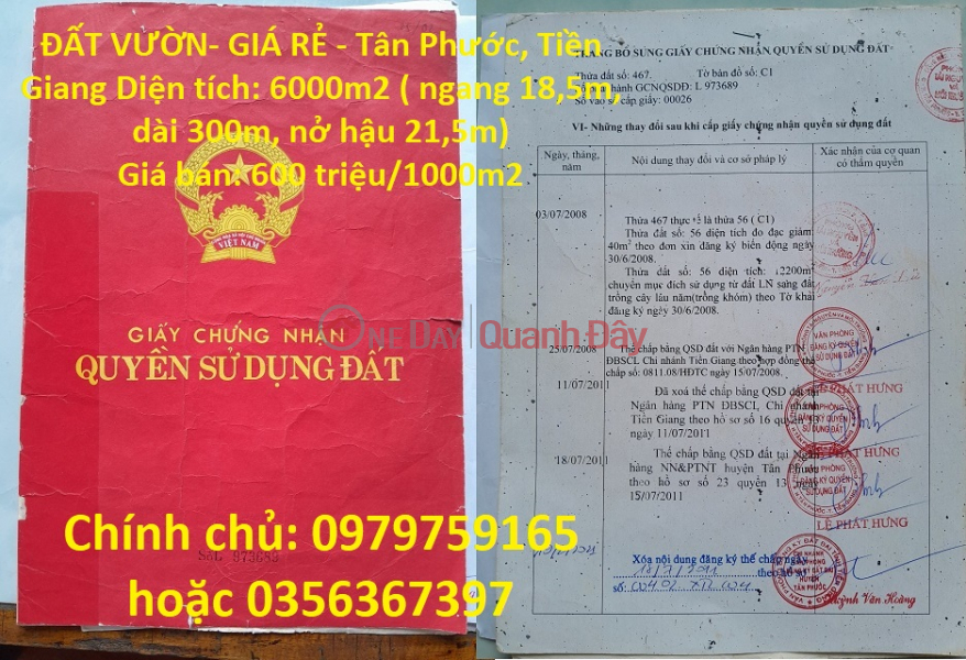 ĐẤT VƯỜN- GIÁ RẺ - Tân Phước, Tiền Giang Niêm yết bán