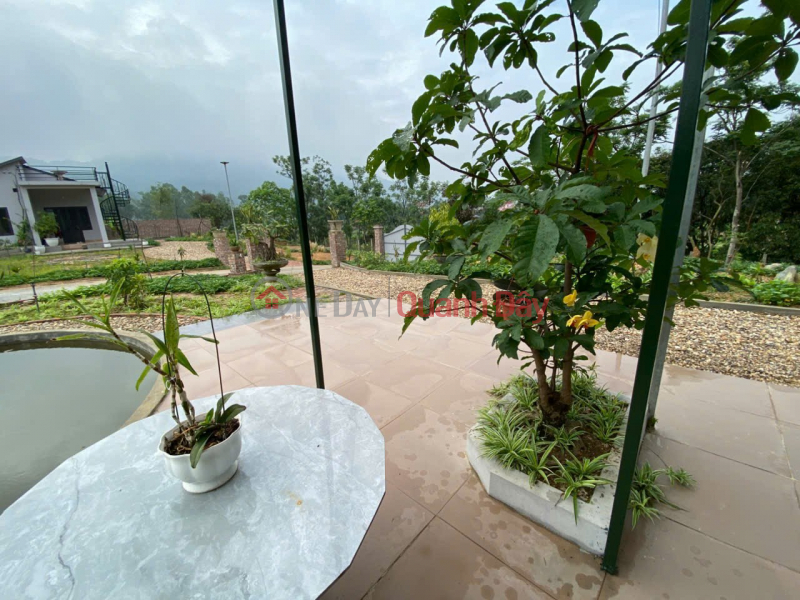 Property Search Vietnam | OneDay | Residential, Sales Listings | LAND IN GOOD LOCATION - GOOD PRICE Owner sells land in Soc Son district, Hanoi
