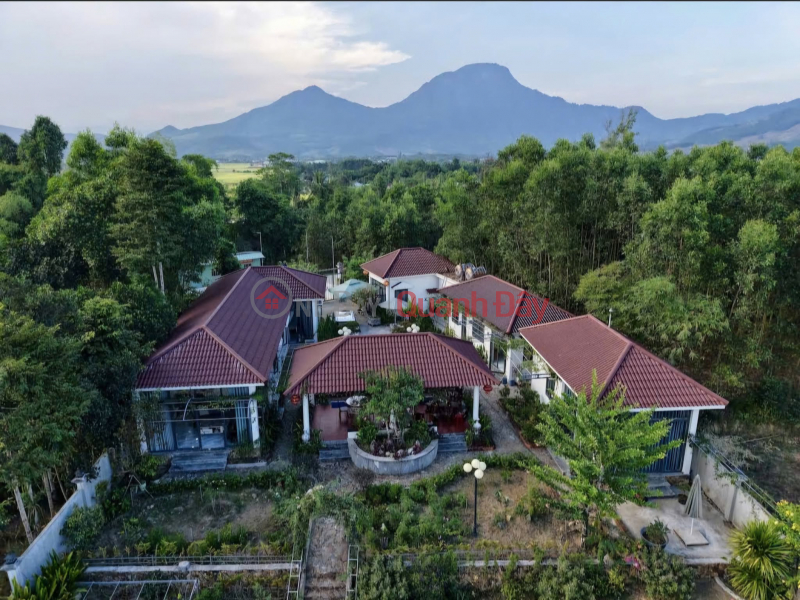 ► Village Garden Resort, 2790m2, Nong Son commune, 8.5 billion Sales Listings