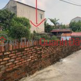 Land for sale at Kha Do, Nam Viem Ward, Phuc Yen, Vinh Phuc _0