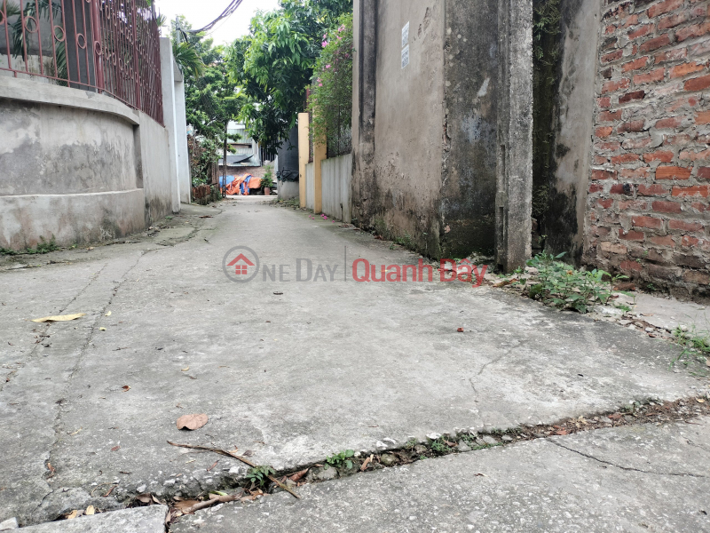 Area of 50.8m full residential area of Thuy Huong Front = back 3.72m, no feng shui errors Shallow alley, car | Vietnam, Sales đ 960 Million