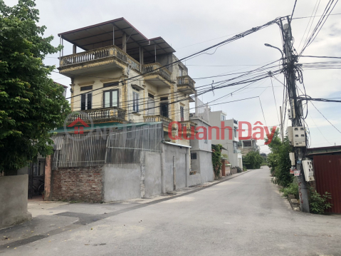 FOR SALE LAND IN DAI HONG - NAM HONG, OTO AVOID PRICE 3.x BILLION _0