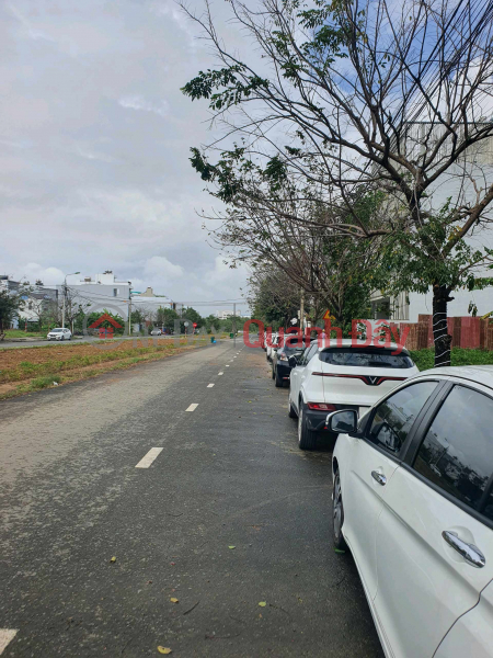 cần bán cặp đất đường diên hồng khu đô thị sinh thái hòa xuân Niêm yết bán