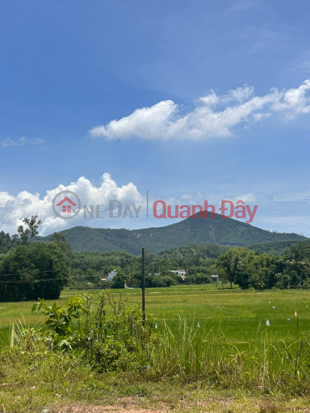 Đất ở hiếm có, diện tích khoảng 760m² tại Điện Bàn, Đà Nẵng (trước đây là Quảng Nam) Niêm yết bán