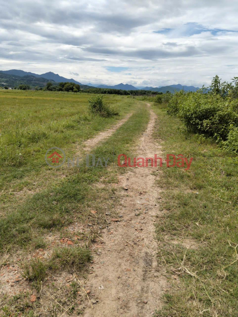 Đất Đẹp - Giá Tốt - Chính Chủ Cần Bán Lô Đất Vị Trí Đẹp Tại Xã Ninh Hưng - Ninh Hòa, Khánh Hòa _0