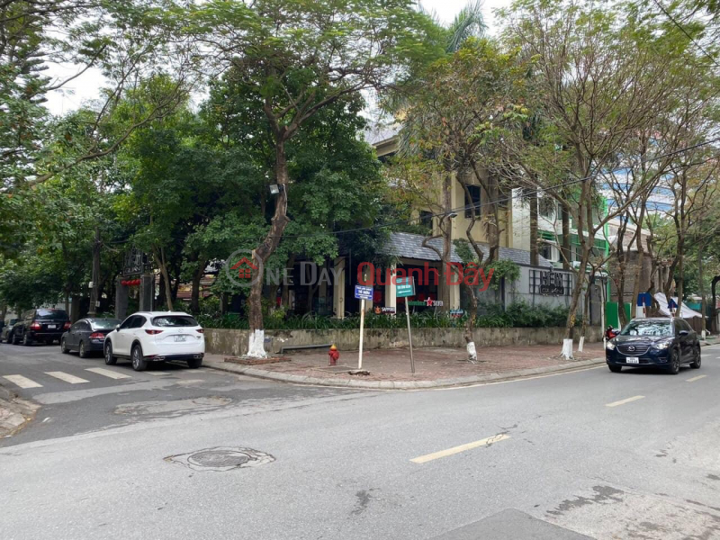 Land for sale in Me Linh Hanoi, area 92m, price 55 million m2, negotiable Sales Listings