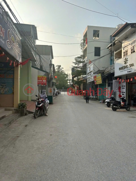 Owner selling 2 corner plots of land in Phu Xuyen - Prime location, good for business, long-term investment. Sales Listings