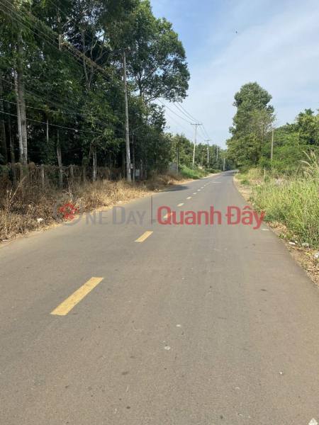 đ 4.2 Billion BEAUTIFUL LAND - PROFITABLE INVESTMENT - Owner Needs to Sell Quickly Plot of Land in Bao Binh Commune, Cam My, Dong Nai