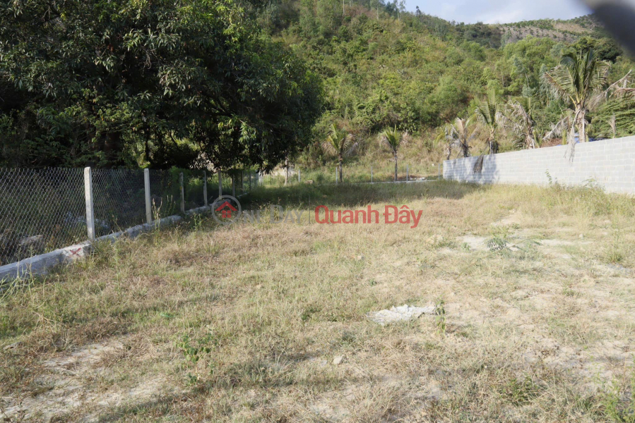 URGENT!! OWNER REDUCES PRICE FOR QUICK SALE OF LAND LOT FRONTING PROVINCIAL ROAD 3, CAM LAM - REDUCED TO ONLY 2.85 BILLION! Vietnam | Sales đ 2.85 Billion