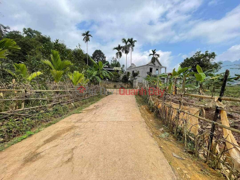 Property Search Vietnam | OneDay | , Sales Listings, Cần Cần bán gấp lô đất Dt 676,8m2 80m2 ONT, Kim Bôi, Hòa Bìnhbán gấp lô đất Dt 676,8m2 80m2 đất ở