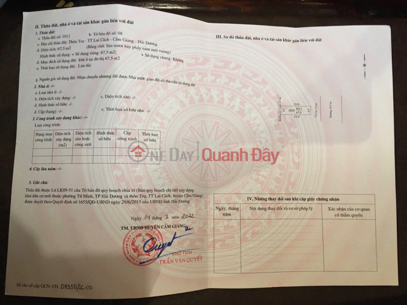 BEAUTIFUL LAND - GOOD PRICE - URGENTLY SELLING 4 Potential Land Lots in Cam Giang - Hai Duong | Vietnam Sales đ 3.53 Billion