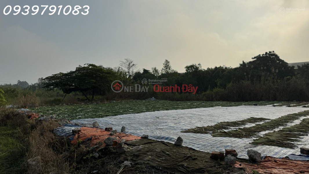 Property Search Vietnam | OneDay | Nhà ở | Niêm yết bán CẦN BÁN 2,14 HA ĐẤT TẠI CỤM CÔNG NGHIỆP MỸ HIỆP, ĐỒNG THÁP (CAO LÃNH - ĐỒNG THÁP CŨ)