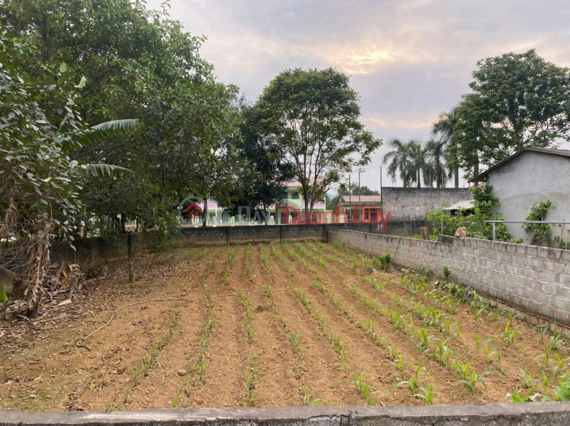 Property Search Vietnam | OneDay | Residential | Sales Listings RARE LAND PLOT FOR SALE - 293M² LOCATED 500M FROM THE HO CHI MINH CITY HIGHWAY – Vai Village, Lac Thuy District, Hoa Binh Province