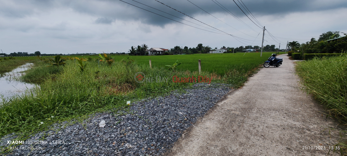 Urgent sale of rice land in Duc Tan commune for 1 billion Vietnam Sales | ₫ 1 Billion