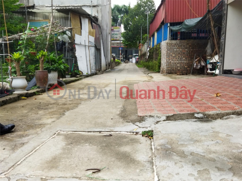 For Sale Land Lot 66.3m Dong Van Noi Hamlet Dong Anh Hanoi. Suitable for both investment and living _0