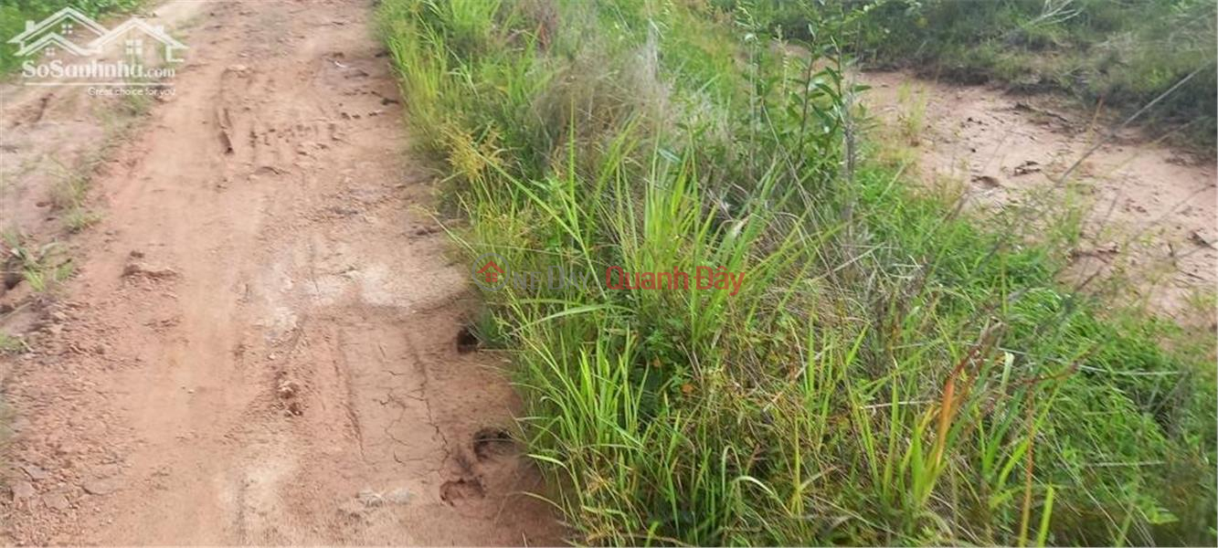 BEAUTIFUL LAND - GOOD PRICE - OWNER NEEDS TO SELL LAND LOT IN Tan Thuan Commune, Ham Thuan Nam, Binh Thuan, Vietnam Rental, đ 2.3 Billion/ month