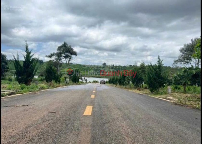 BEAUTIFUL LAND - FRONTAGE - Owner Needs to Quickly Sell Lot in Prime Location with 3 Frontages in Lam Ha District Sales Listings